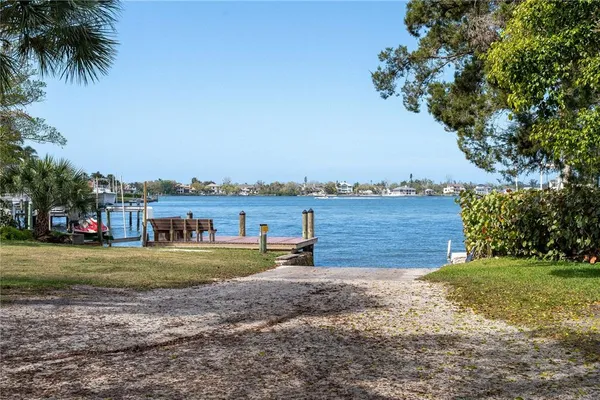 a view of a lake with a big yard and palm trees