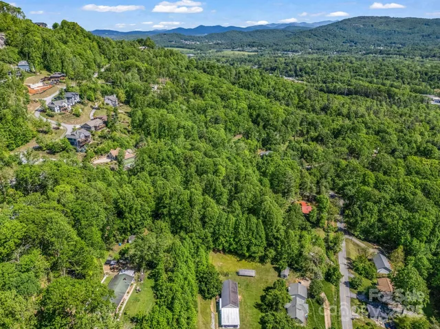 a view of a lush green forest with a houses