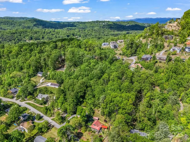 a view of a city and lush green forest