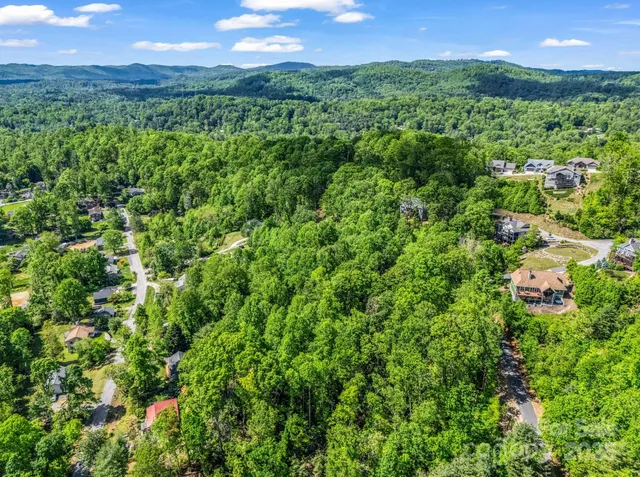 a view of a lush green forest with a house