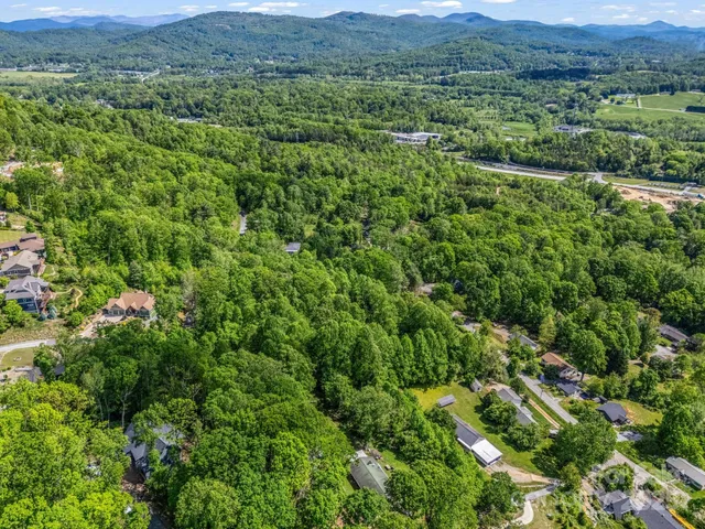 a view of a lush green field with lots of bushes