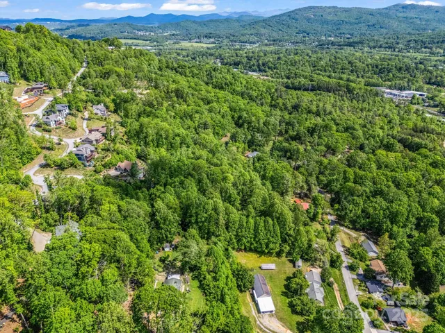 a view of a lush green forest with a houses