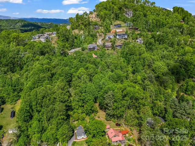 a view of a flower in a garden