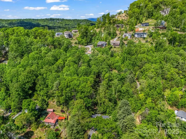 a view of a lush green forest with a mountain