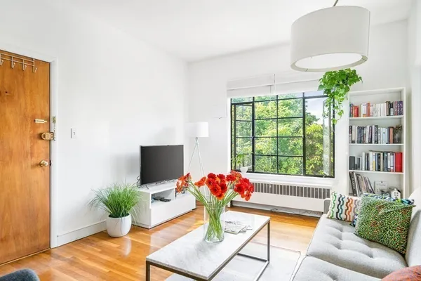 a living room with furniture and a potted plant