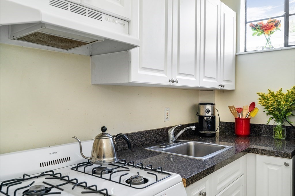 15 Ellery Street, Unit 11 Cambridge, MA 02138 - Photo 10 of 22 a kitchen with a stove and a sink