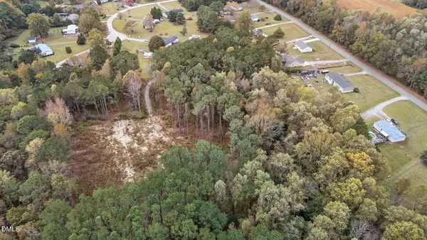 a view of a forest with a forest