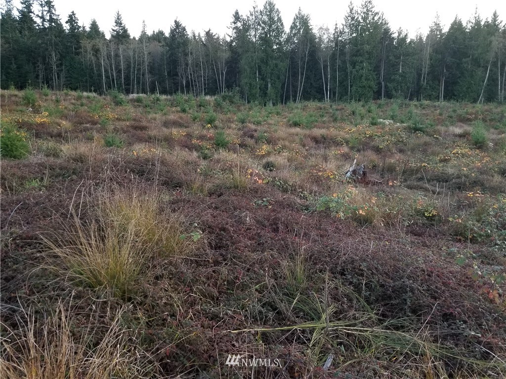2000 East Goodell Road Freeland, WA 98249 - Photo 1 of 5