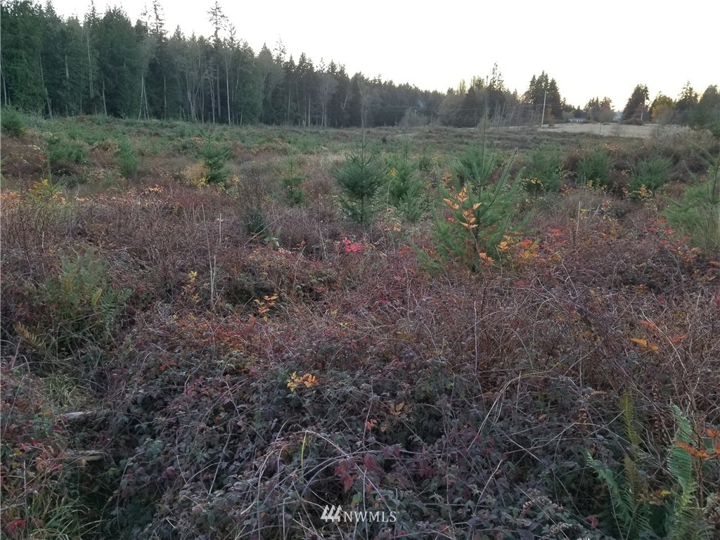 2000 East Goodell Road Freeland, WA 98249 - Photo 2 of 5