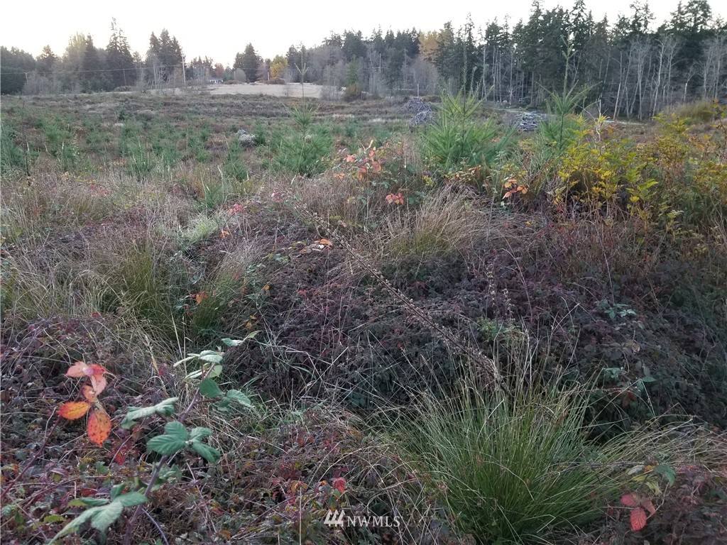 2000 East Goodell Road Freeland, WA 98249 - Photo 3 of 5