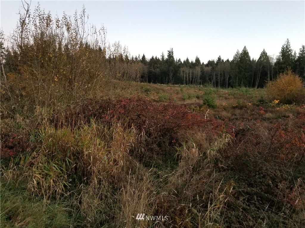 2000 East Goodell Road Freeland, WA 98249 - Photo 4 of 5
