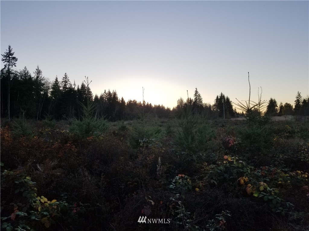 2000 East Goodell Road Freeland, WA 98249 - Photo 5 of 5