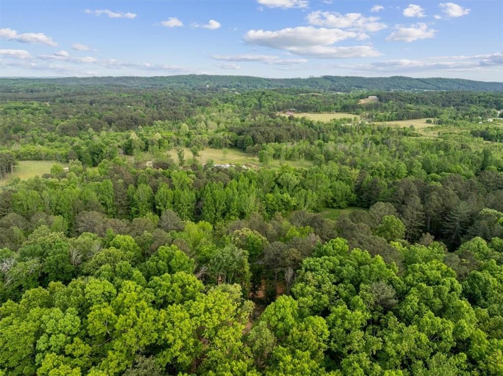 307 Moores Ferry Road Southwest Plainville, GA 30733 - Photo 9 of 14