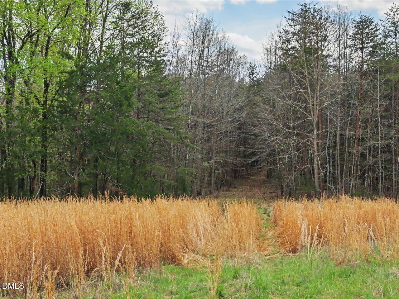 7793 Ridgeville Road Leasburg, NC 27291 - Photo 50 of 91