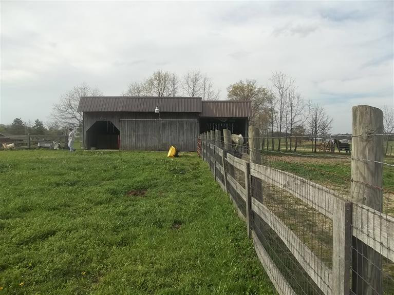 2610 New Cut Road Jeffersonville, KY 40337 - Photo 22 of 36 Photo 22