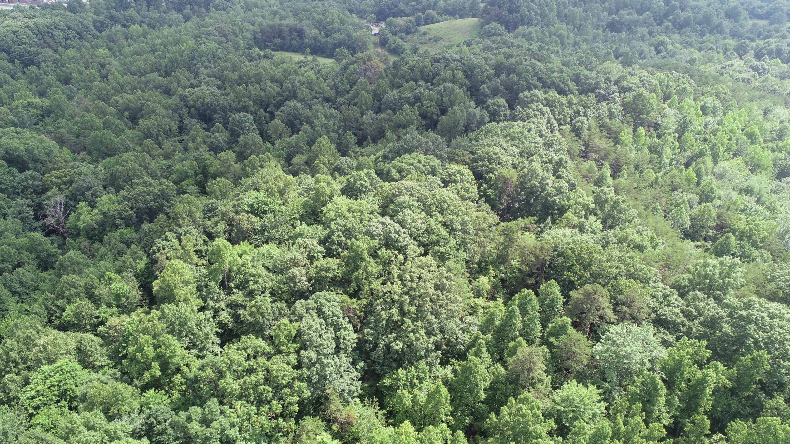 111 James Harris Cemetery Road London, KY 40741 - Photo 11 of 22 DJI_0753