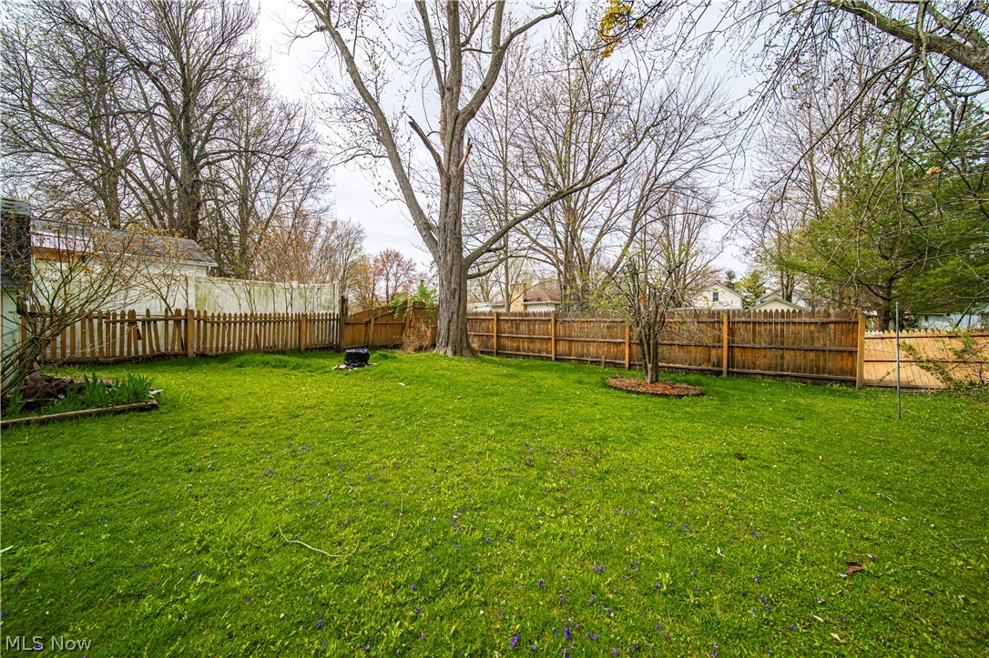 116 South Cedar Street Geneva, OH 44041 - Photo 34 of 35 View of yard