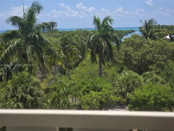 a view of a yard