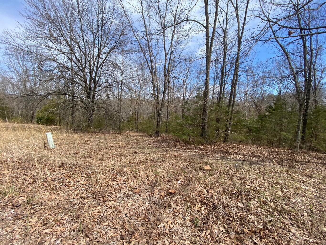 0 Westgate Lane Reeds Spring, MO 65737 - Photo 6 of 10 PHONE