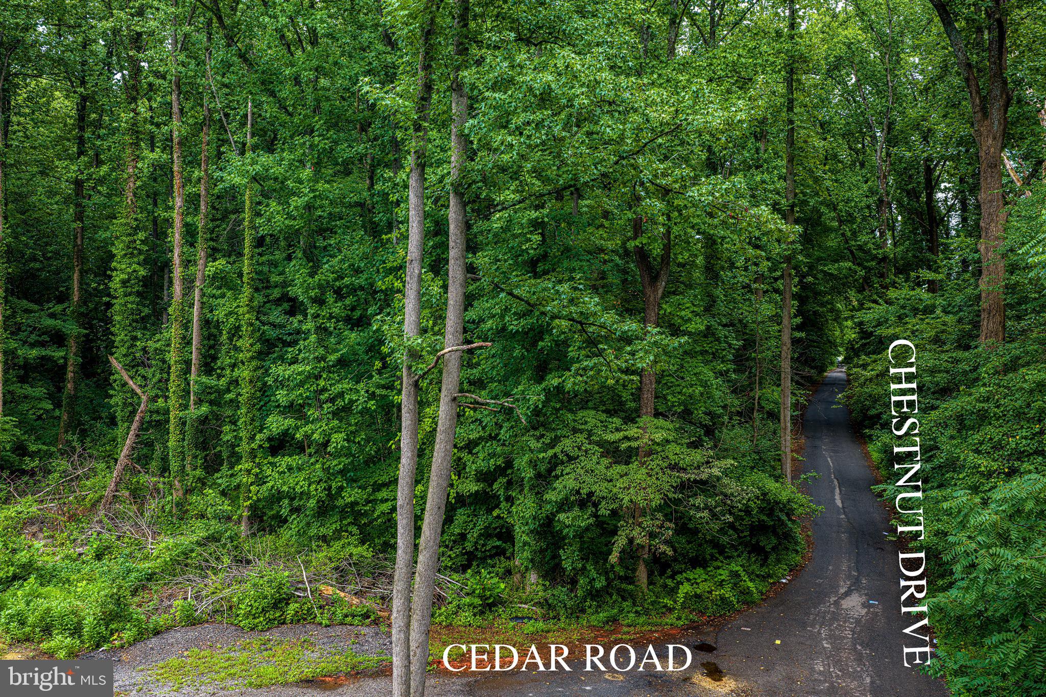 6901 Cedar Road Bowie, MD 20720 - Photo 3 of 6 Gallery Image 3