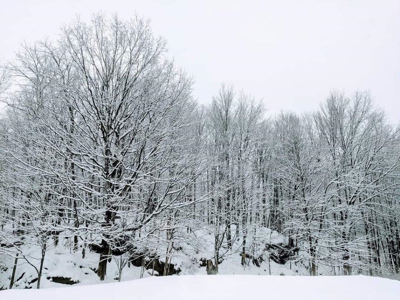 496 Braeloch Road Colchester, VT 05446 - Photo 38 of 40