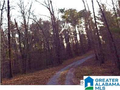 8681 Central Road Warrior, AL 35180 - Photo 28 of 31
