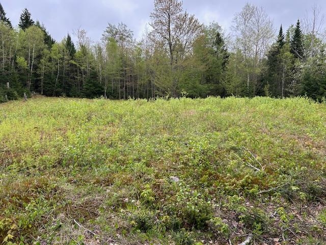 - Piper Hill Road Colebrook, NH 03576 - Photo 7 of 10