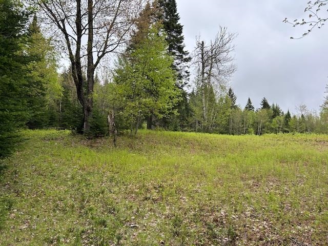 - Piper Hill Road Colebrook, NH 03576 - Photo 8 of 10