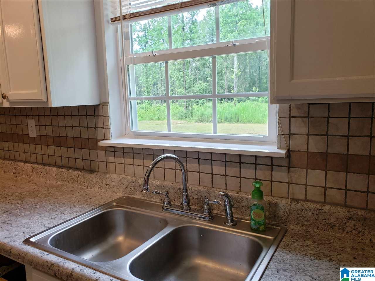258 Pine Mountain Road Remlap, AL 35133 - Photo 13 of 46