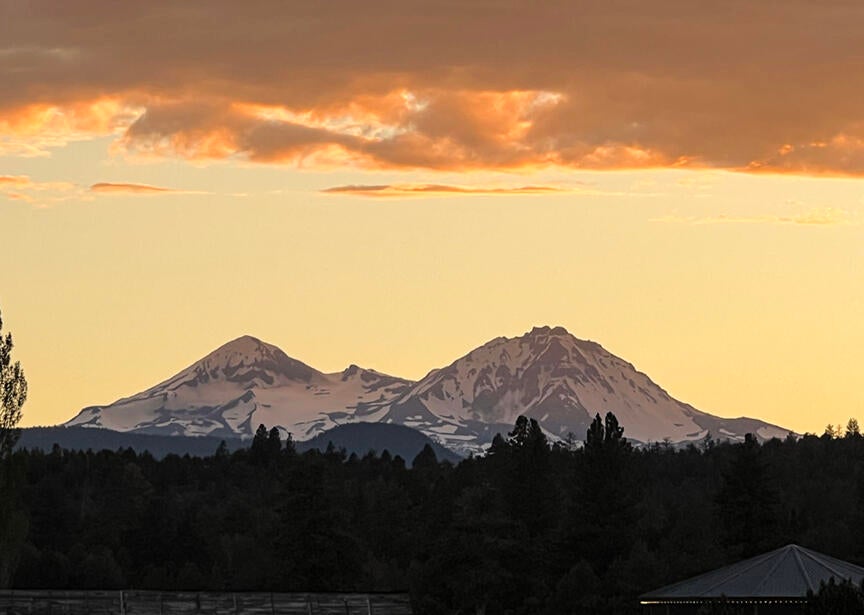 Mountain Views 1