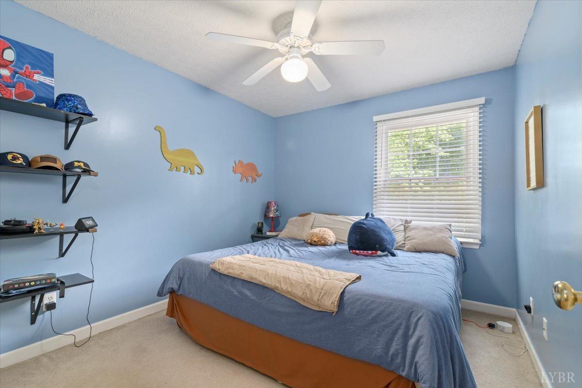 2098 Sunburst Road Evington, VA 24550 - Photo 27 of 40 Gallery Image 27