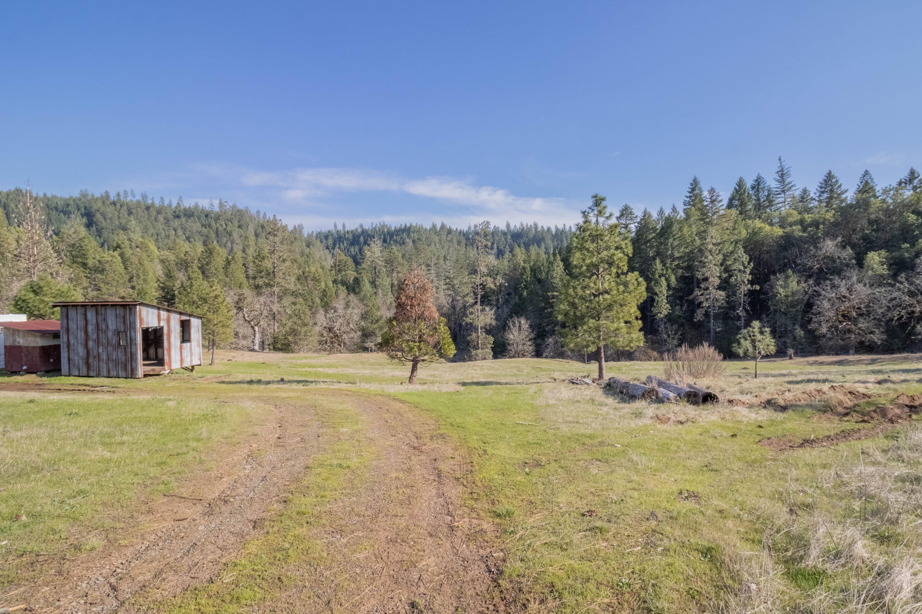 647 Gold Canyon Road Selma, OR 97538 - Photo 7 of 18 7