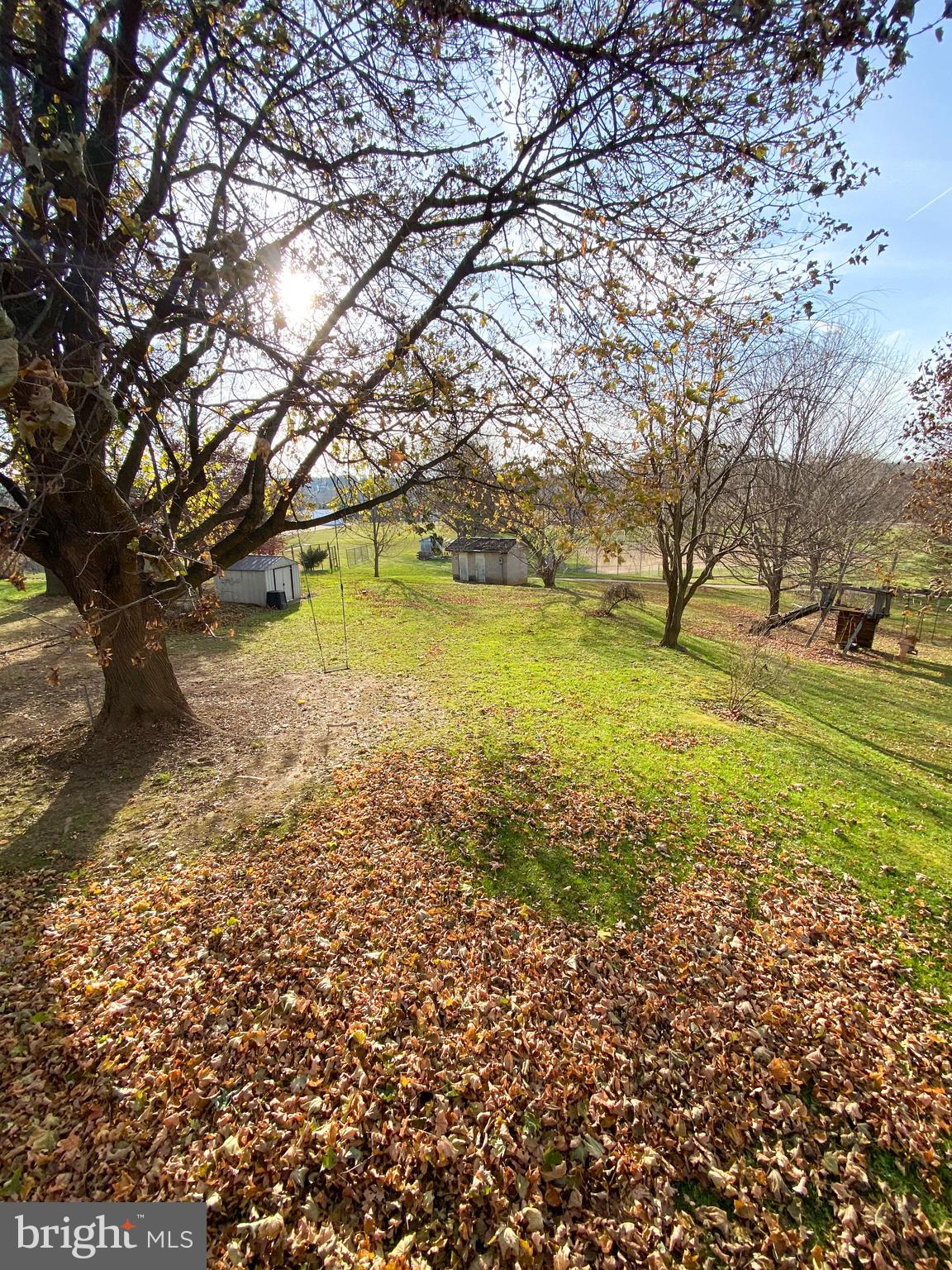 1026 Green Valley Road New Windsor, MD 21776 - Photo 51 of 57 a view of yard with trees