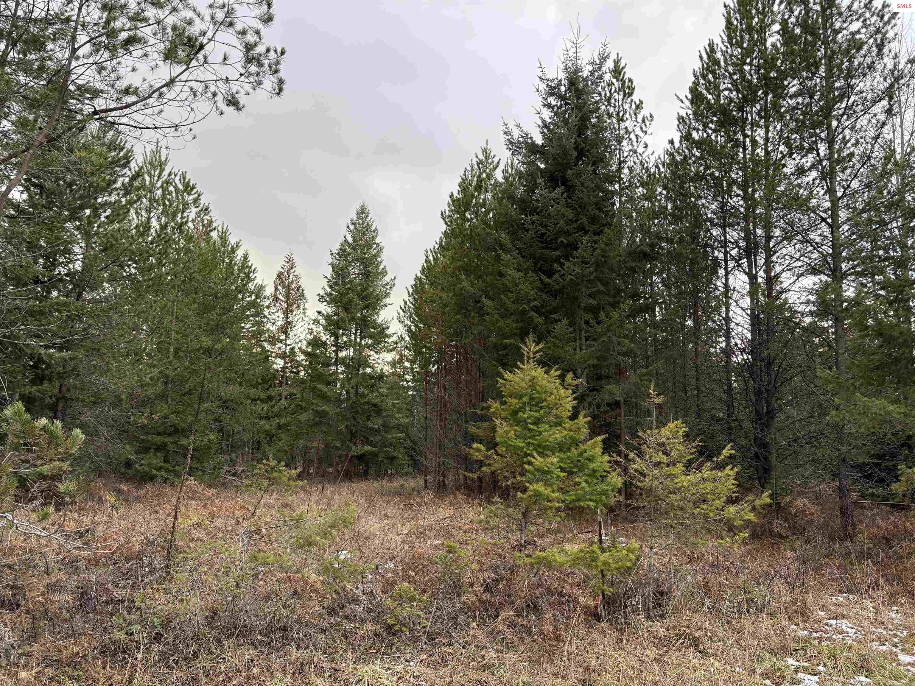 1-2 3 Lost Mile Road Naples, ID 83847 - Photo 24 of 25