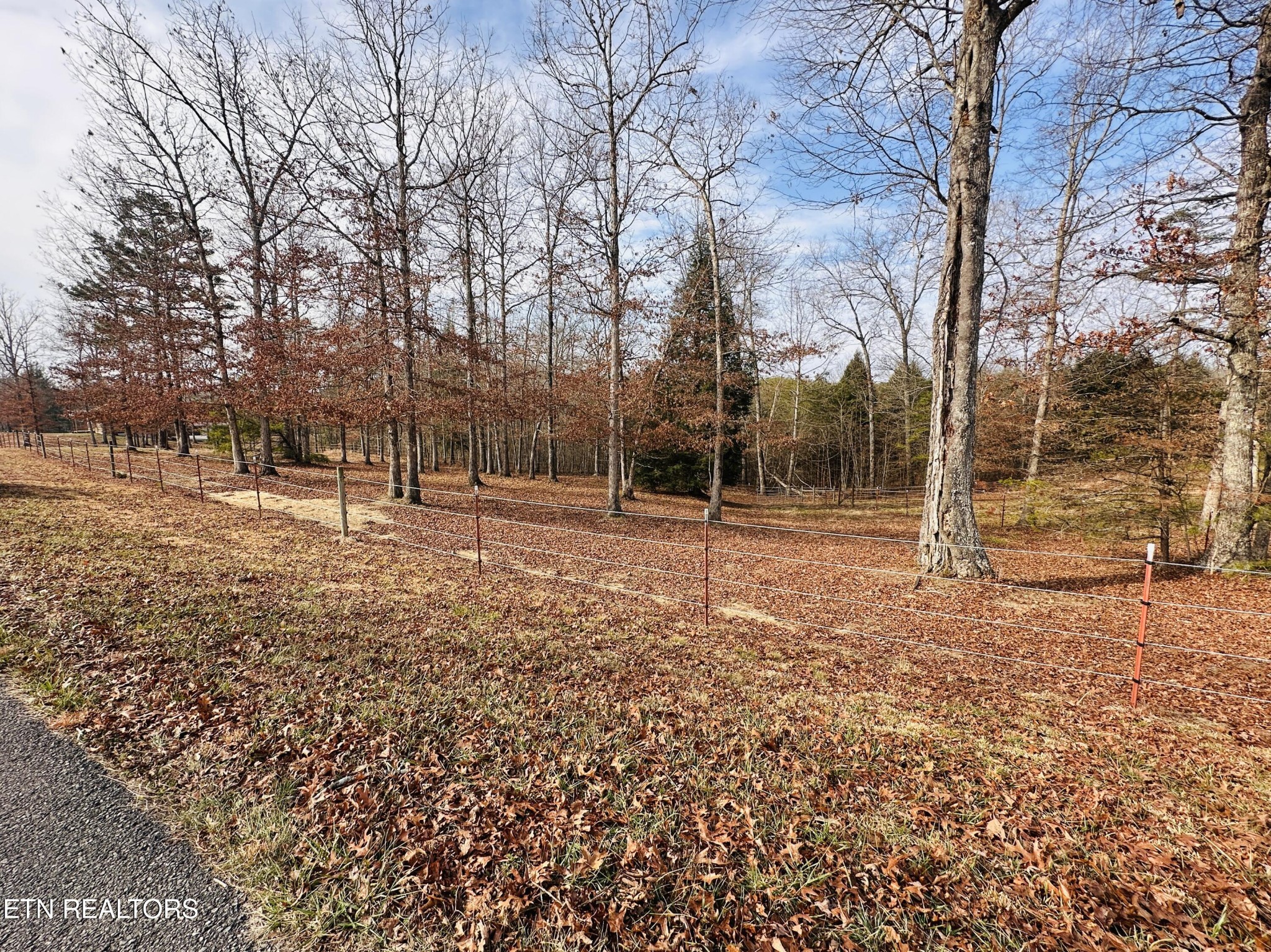 237 Rockview Road Jamestown, TN 38556 - Photo 5 of 9 Gallery Image 5