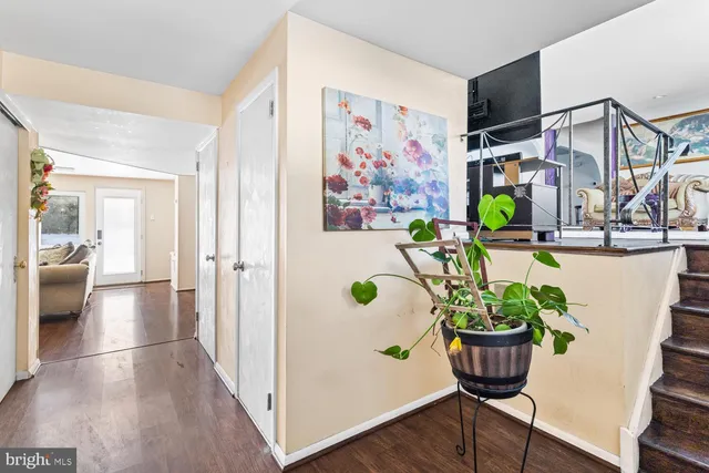 a view of a living room and a potted plant