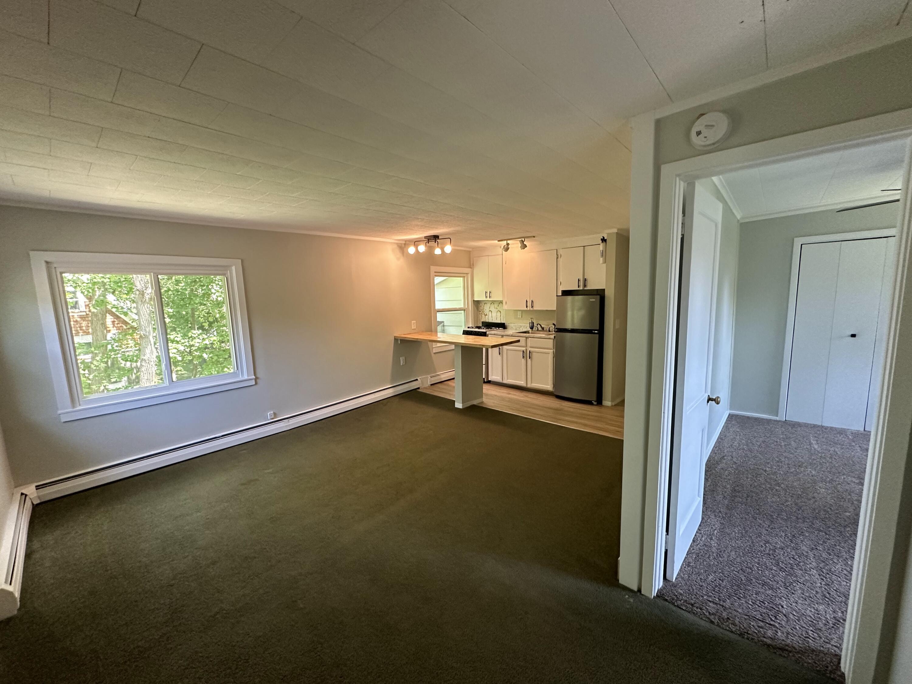 218 North Baldwin Street Whitehall, MI 49461 - Photo 7 of 15 IMG_4244