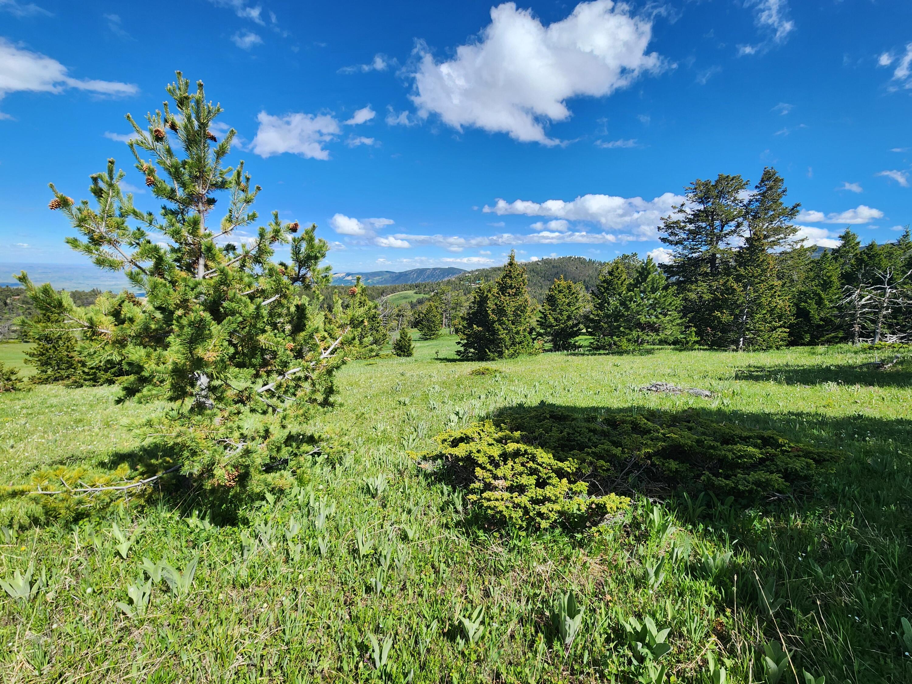 12 Blacktooth Road Big Horn, WY 82833 - Photo 8 of 25 Lot 12
