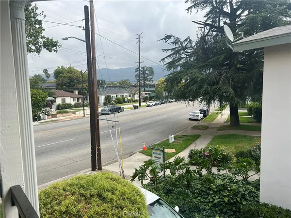 a view of a garden from a window