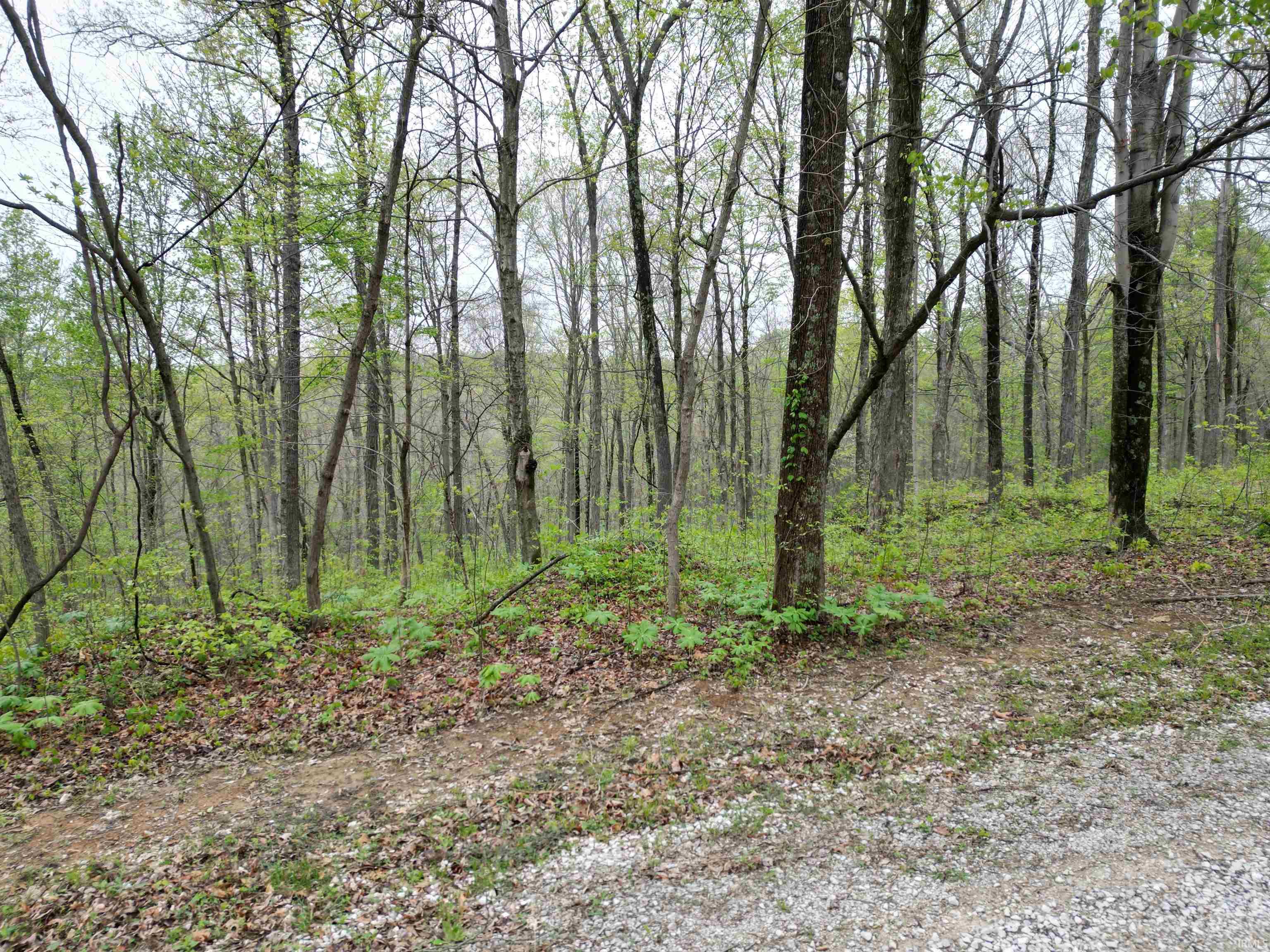 5 East Pine Road Bloomfield, IN 47424 - Photo 10 of 14