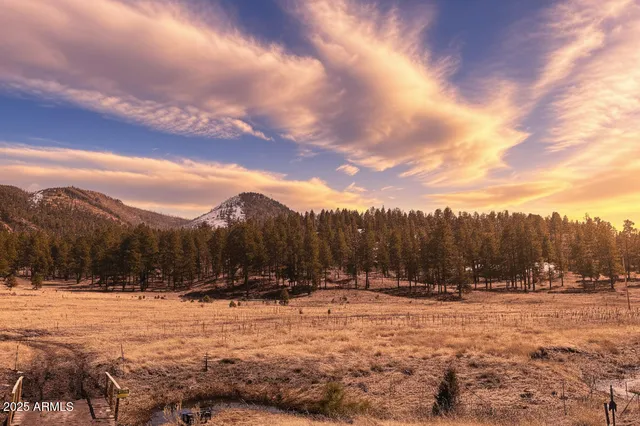 a view of swimming pool with a yard