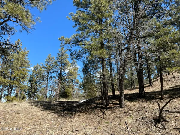 a view of outdoor space