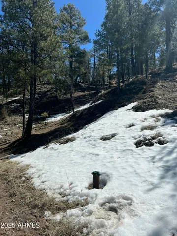 a view of a yard covered with snow in the yard