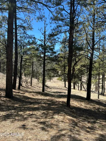 a view of road with trees