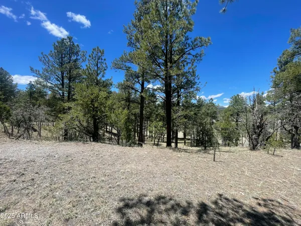 a view of outdoor space with trees