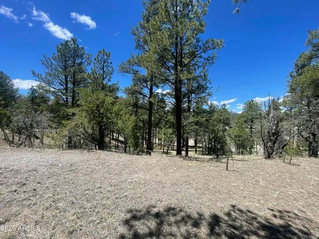 a view of outdoor space with trees