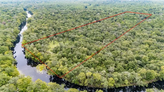 a view of a garden with a tree