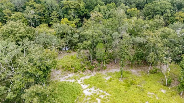 a view of a yard with a tree