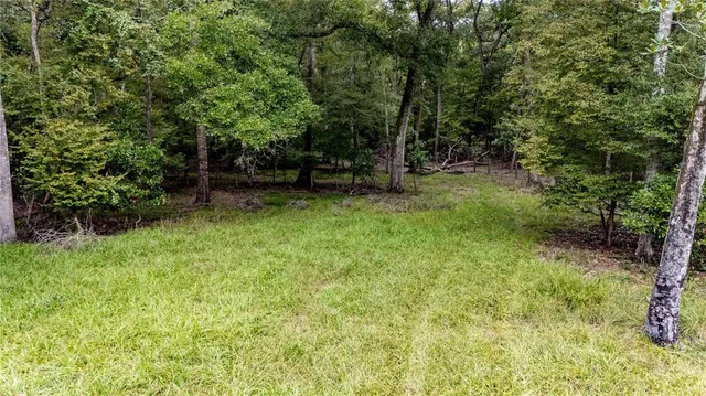 a view of backyard with green space