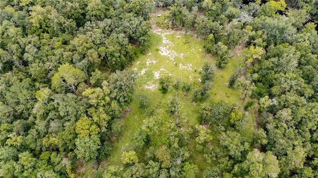 a view of a big yard